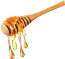Honey dipper coated with golden honey dripping from wooden stick